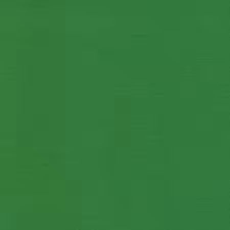 Leprechaun Solid | Fabric