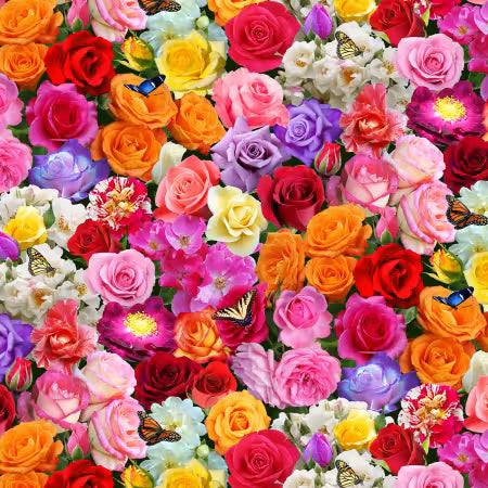 Multi Roses | Fabric
