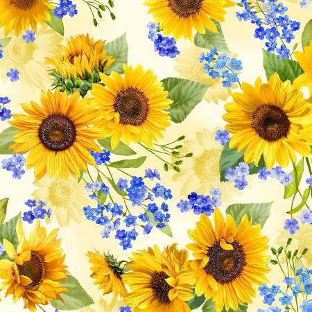 Sun Sunflower Blooms