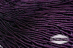 11/0 TR DRK Amethyst | Seed Beads