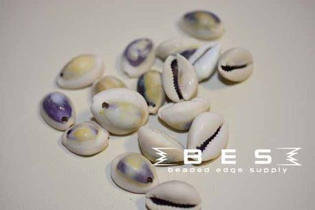 Cowrie Shell | 2 colors