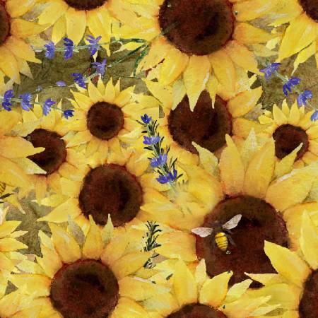 Yellow Sunflower Field Cotton
